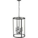 Aydenn 4 Light 15.75 inch Matte Black Indoor Pendant Ceiling Light